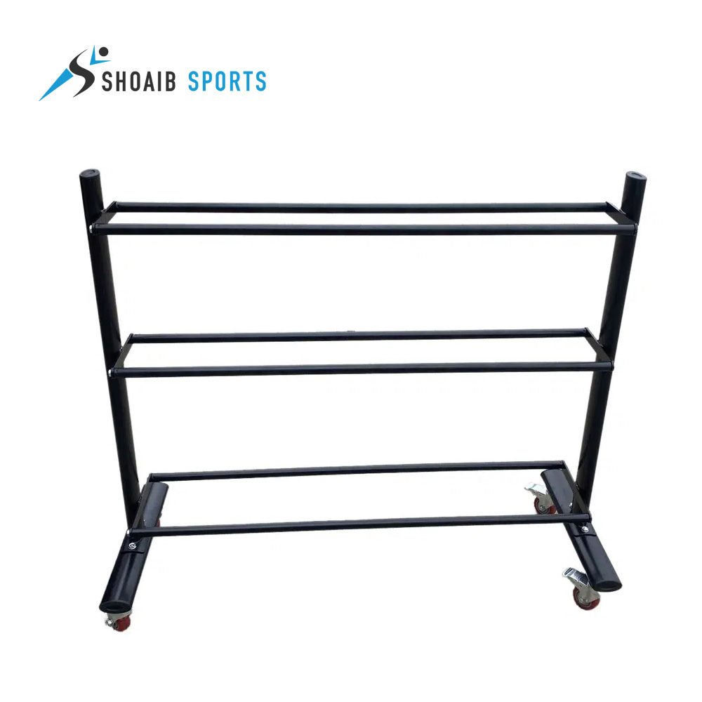 Medicine-Ball-Rack