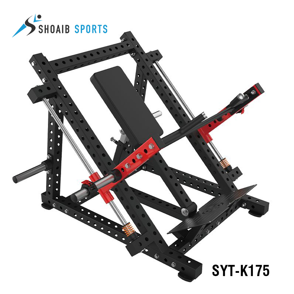 SYT-K175