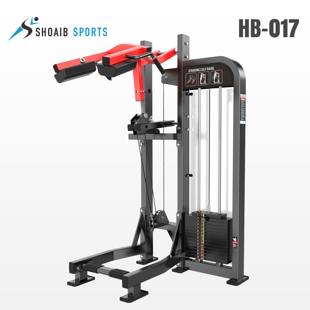 Standing-Calf--HB-017